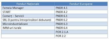 Firma consultanta fonduri europene și guvernamentale 100% nerambursabile. Fonduri Nerambursabile In 2017 Pentru Microintreprinderi È™i Imm Uri