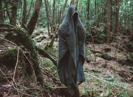 A Walk In The Woods 7 Of The World S Most Haunted Forests And Woodlands Haunted Forest Aokigahara Forest Haunted Woods