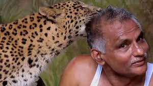 Por qué usan animales salvajes como modelos en estas clases de arte