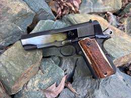 Image result for Caramel Tan 1979 Colt