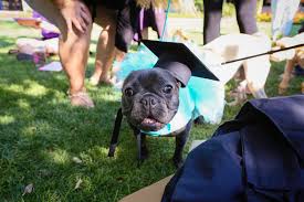 Animal house pet center has the largest selection of raw. Animal House More Colleges Are Saying Yes To Dogs And Cats In Dorms The Washington Post