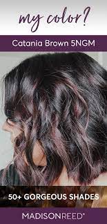 Pin On Brown Hair Color Ideas
