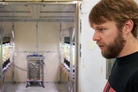 Counting springtails in an uncommon lab