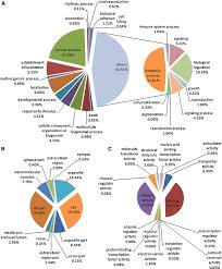 pie charts showing gene ontology go classification level