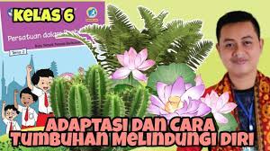 Sempurnakan profil lina anda dengan menyesuaikan kriteria yang ada seperti lokasi kerja, spesialisasi (bidang) pekerjaan, pengalaman kerja, bidang studi, penuh waktu / paruh waktu dan sebagainya. Cara Tumbuhan Beradaptasi Dan Melindungi Diri Materi Kelas 6 Tema 2 Subtema 1 Muatan Ipa Youtube