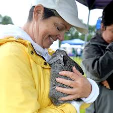 Poultry swap and other local photos