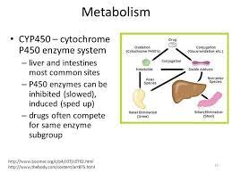 Combining Essential Oils Meds And Cyp450 Enzymes Synergessence Tm Enzymes Drug Design Drug Interactions