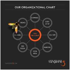 Organizational Chart For Tangerine5 Digital Brochure