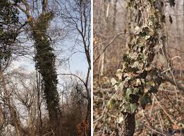 Maps, driving directions & local area information Meroke Preserve The Design Inspirationalist