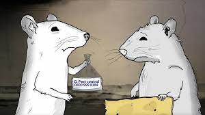 These are different from repellents, as they actually. Cj Pest Control Home Facebook