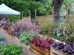 Garten Sichtschutz Bambusmatten Weinkasten Zierpflanzen In 2020 Pflanzen Kleiner Garten Pflanzideen
