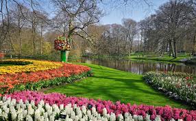 Последние твиты от keukenhof (@visitkeukenhof). How To Experience Keukenhof The Garden Of Europe Tassie Devil Abroad