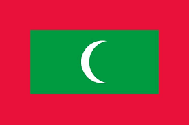The green rectangle in the center. Maldives Hand Waving Flag Medium