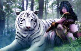White tiger wallpapers hd desktop background was posted on february 10, 2020. Wallpaper Wizard Girl With The White Tiger 2560x1600 Hd Picture Image