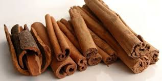 Image result for Cryptocarya woodii