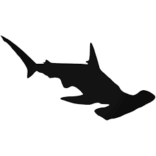 Hammerhead gibt es bei ebay! Account Suspended Shark Silhouette Hammerhead Shark Tattoo Hammerhead Shark