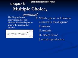 Meiosis can be a difficult concept to understand because it is a reduction division that results in. 3 19 Atb Describe Two Things That Make Up Chromosomes Objectives Worksheet Pages 8 9 Review Mitosis Describe Meiosis Ppt Download