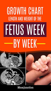 Growth Chart Fetal Length And Weight Week By Week Week