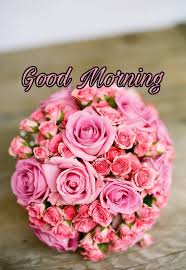 We did not find results for: Good Morning Flowers Images 2020 Best 166 New Collection