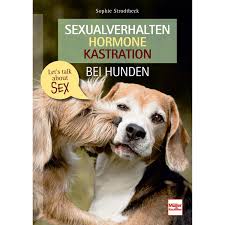 Sexualverhalten - Hormone - Kastration bei Hunden: Let´s talk about sex :  Strodtbeck, Sophie: Amazon.de: Bücher