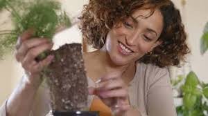 Create Joy Travel • About Us