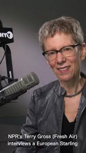 Terry Gross interviewing a European Starling!