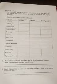 Plant cells are different from animal cells in a number of ways. Review Questions 1 Use Table 5 2 To Describe The Chegg Com