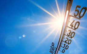 Las, je ne me sens ni les épaules ni la céphalée pour te donner le change, alors je clos si tu me le permets cet échange qui laissera indubitablement béate la dite smalla. Ce Mois De Juin Est Le Plus Chaud Jamais Enregistre Juste Derriere Celui De 2019