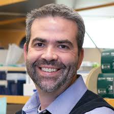 Vitiligo Genetics of Onset and Relapse Study