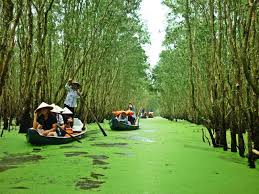 (tiền giang) bị bắt quả tang tổ chức ghi số đề, sau đó khai nhận trong các con bạc tham gia có con trai ruột là n.k.h. Nganh Du Lá»‹ch Tiá»n Giang Chá»§ Ä'á»™ng Phong Chá»'ng Dá»‹ch Covid 19