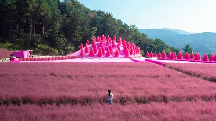 포천 허브아일랜드 写真 6