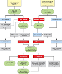 Practice Guidelines For Clinical Microbiology Laboratories