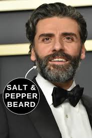 All Oscar Isaac Beard Styles (Visual Gallery)