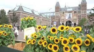 He hung the first two in the room of his friend, the painter paul gauguin, who came to live with him for a while in the yellow house. Labyrint Of Sunflowers Van Gogh Museum Amsterdam Youtube