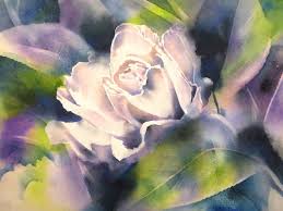 For the most part climbing roses are simply genetic mutations of many different varieties of bush roses, bred to grow to much larger heights. New Dawn 18 Rose Weiss Blumen Aquarellmalerei Von Thomas Habermann Bei Kunstnet