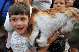 Free fun for youngsters as Children's Week celebrates 75th anniversary