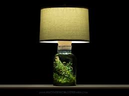 My First Lamp Terrarium Aka The Lamparium The Glass Vessel Dimensions Are Approximately 12 Tall By 6 5 Wide The Entire Lamp Stands About 23 Tall It Uses A