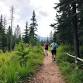 10 Mile Guided Trail Run Sherwood Forest event image