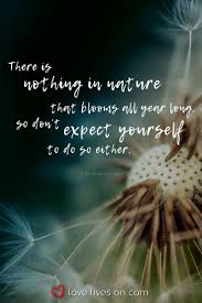 You Are Being Redirected Love Life Quotes Grief Quotes Funeral Quotes