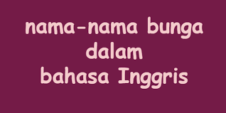 Maybe you would like to learn more about one of these? Nama Nama Bunga Dalam Bahasa Inggris