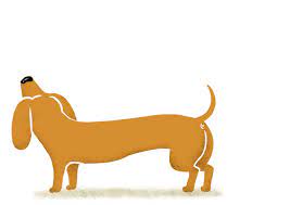 cagnetto happy2014 gif 700 495 giulia sagramola animal illustration dog cat pets