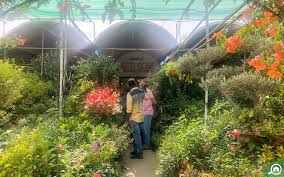 Grow it best is one of the most. Plant Nurseries In Abu Dhabi Green Mountain Dawn Garden More Mybayut