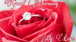 We did not find results for: 151 Good Morning Romantic Red Rose Images And Pics Best Status Pics