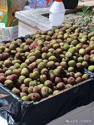 价格大跳水！从70元一斤跌至个位数_武汉_新闻中心_长江网_cjn.cn