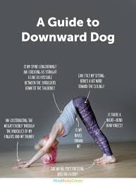 47 Best Picture Down Dog Yoga Pose How To Do Yoga Yoga Moves Yoga Tips