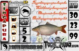 Togel Panas Erek Erek Erek Erek Prediksi Jitu 4d Singapore Live 4d Hari Ini Keluar Aki Wilson Bagaimana Membedah Syair Bedah Syair Sg Fish Pet Pets Fish