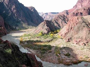 The floor of the Grand Canyon near Phantom Ranch along the Colorado River., AI generated