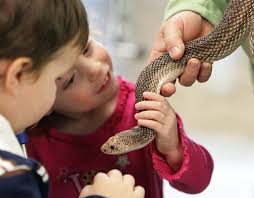 Nothing fazes Little Explorers ... not even slimy, slithering snakes