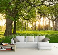 Barato Qualquer Tamanho Personalizado Pintura Mural Da Parede 3d Papeis De Parede Para 3d Wallpaper Living Room Wallpaper Living Room Wall Tapestry Living Room