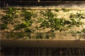 How To Make Impossible Quiche Pie Impossible Quiche Quiche Basic Recipes